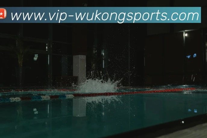 多媒体互动体验